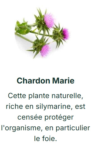 Chardom